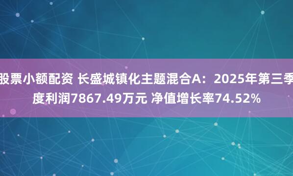 股票小额配资 长盛城镇化主题混合A：2025年第三季度利润7867.49万元 净值增长率74.52%